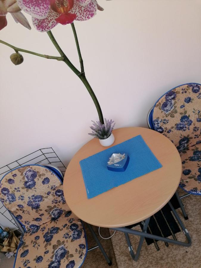 Nova Varoš Apartman Nena מראה חיצוני תמונה